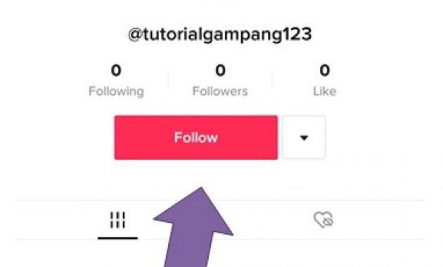 Cara Melihat Tiktok Orang yang Di Privasi 2