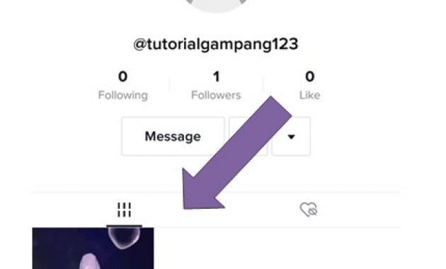 Cara Melihat Tiktok Orang yang Di Privasi 3